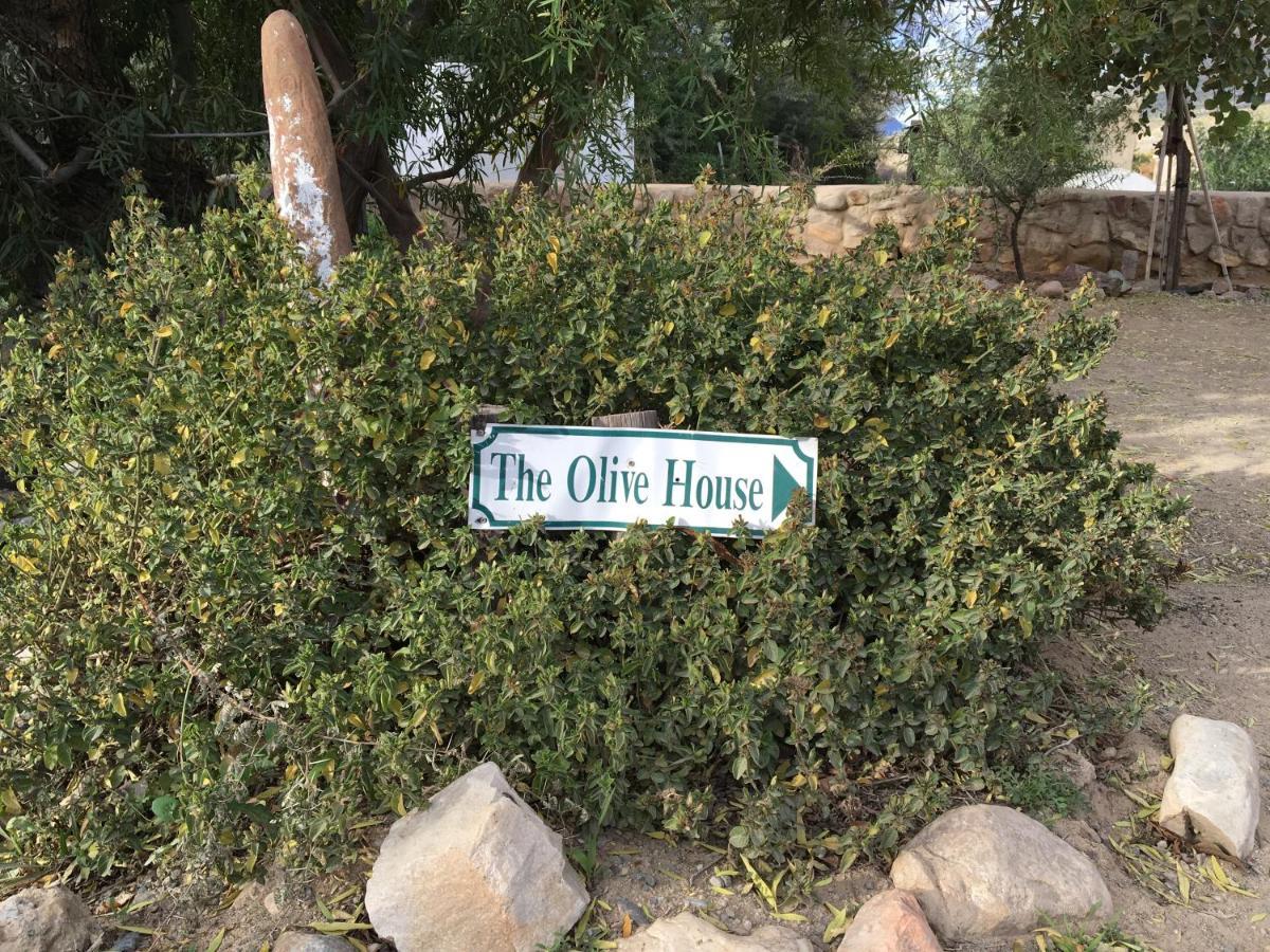 The Olive House, Prince Albert Dış mekan fotoğraf