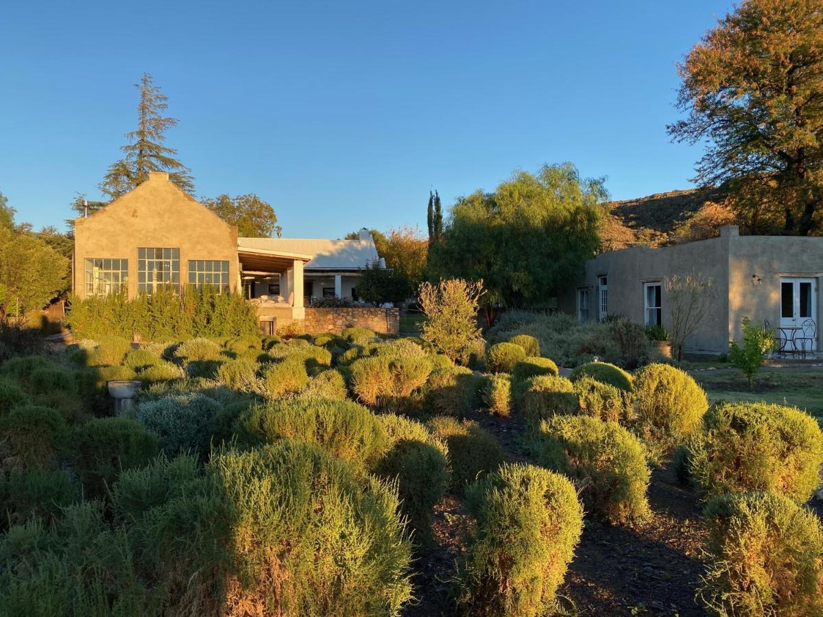 The Olive House, Prince Albert Dış mekan fotoğraf