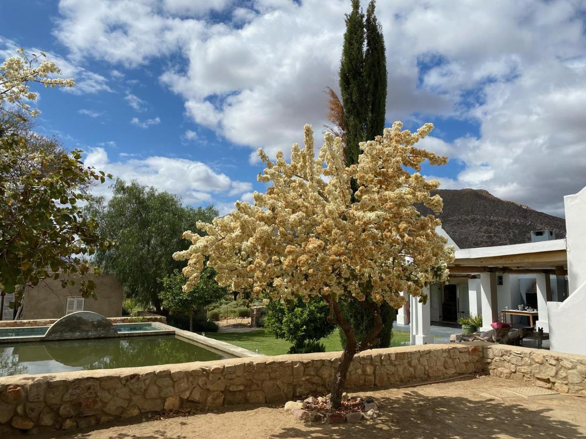 The Olive House, Prince Albert Dış mekan fotoğraf